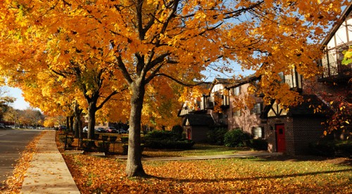 Blog La Foir'Fouille - Conseils pour bien préparer la maison pour l'automne