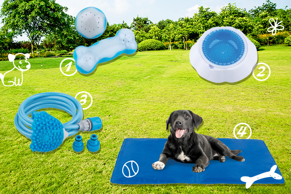 Blog La Foir'Fouille - On adore - 4 accessoires pour rafraîchir son chien cet été - On adore
