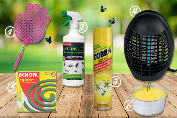 Blog La Foir'Fouille - Conseils - Comment se protéger des moustiques ?