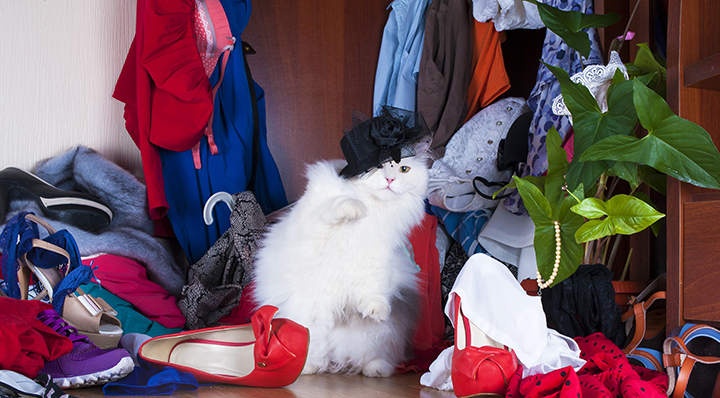 Thug-cat - On adore - Les armoires à chaussures de demain... dès aujourd'hui !