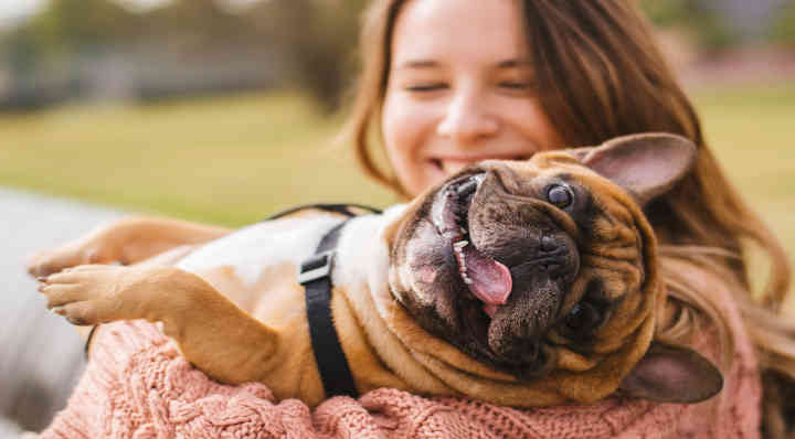 DIY - 3 Jouets pour chien à fabriquer soi-même - Blog La Foir'Fouille