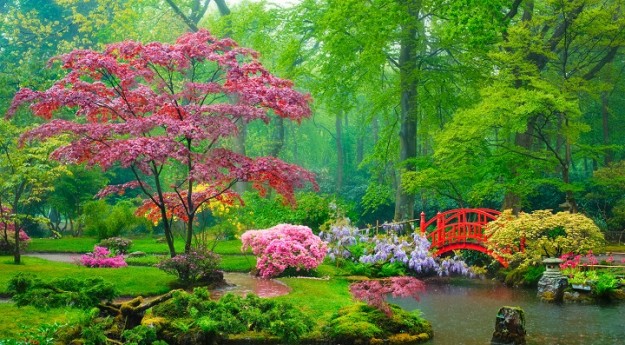 Conseils – Comment aménager un Jardin Zen