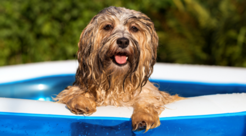 Photo mise en avant - Piscine gonflable