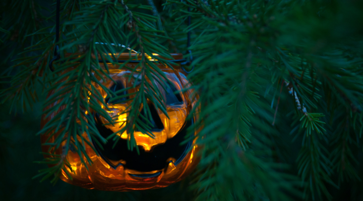 Blog La Foir'Fouille - Comment transformer son sapin en arbre d'Halloween ? - Conseils